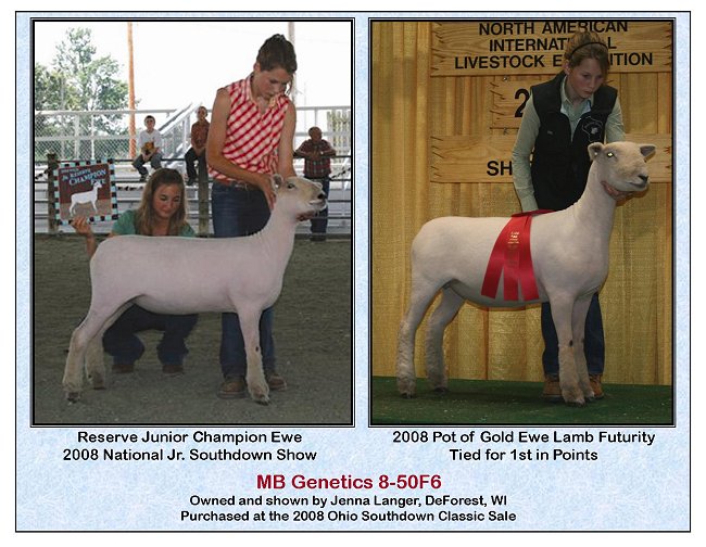 2008 Futurity Ewe-Jenna